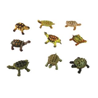 Obrázek z Želvy 9ks v sáčku(12) 